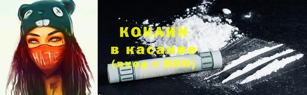 гашик Богородск